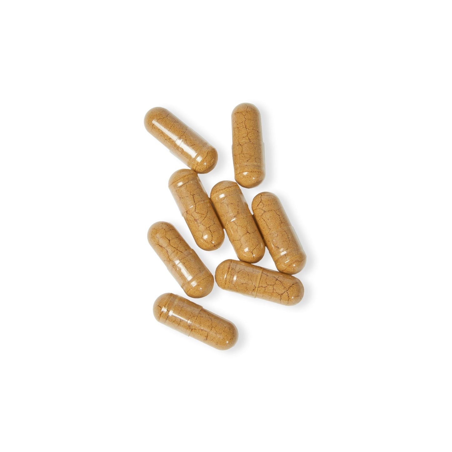 Mystic Mind: The Ultimate Mushroom Blend for Clarity, Energy, and Longevity