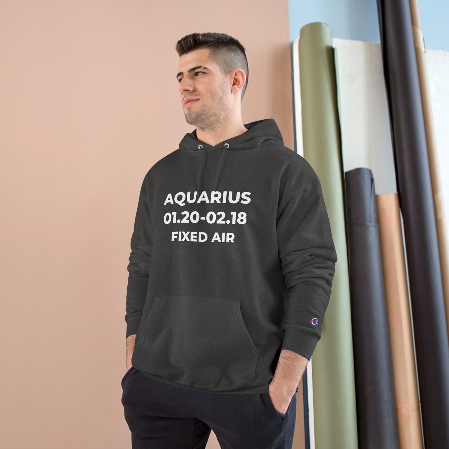 💥 Single-Edition Aquarius Statement Hoodie 💎 Rare & Exclusive 💎