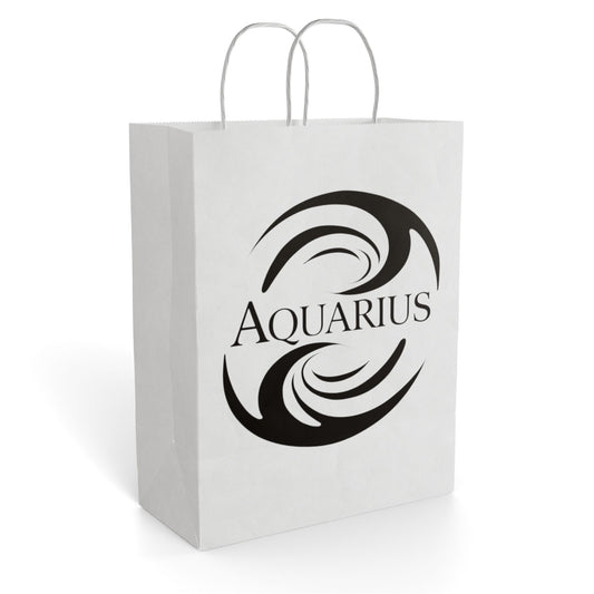 ♒ The Enchanted Aquarius Gift Bag ✨🖤