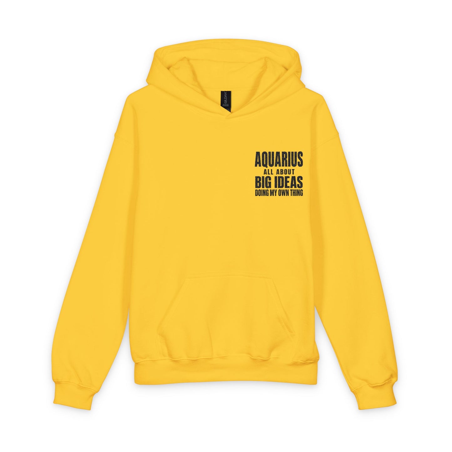 🤍 The Enchanted Statement™ Aquarius Youth Hoodie | The Enchanted Apparel™ Collection 🤍