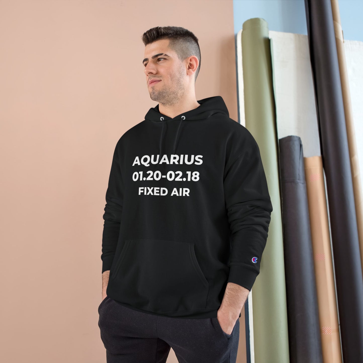 💥 Single-Edition Aquarius Statement Hoodie 💎 Rare & Exclusive 💎