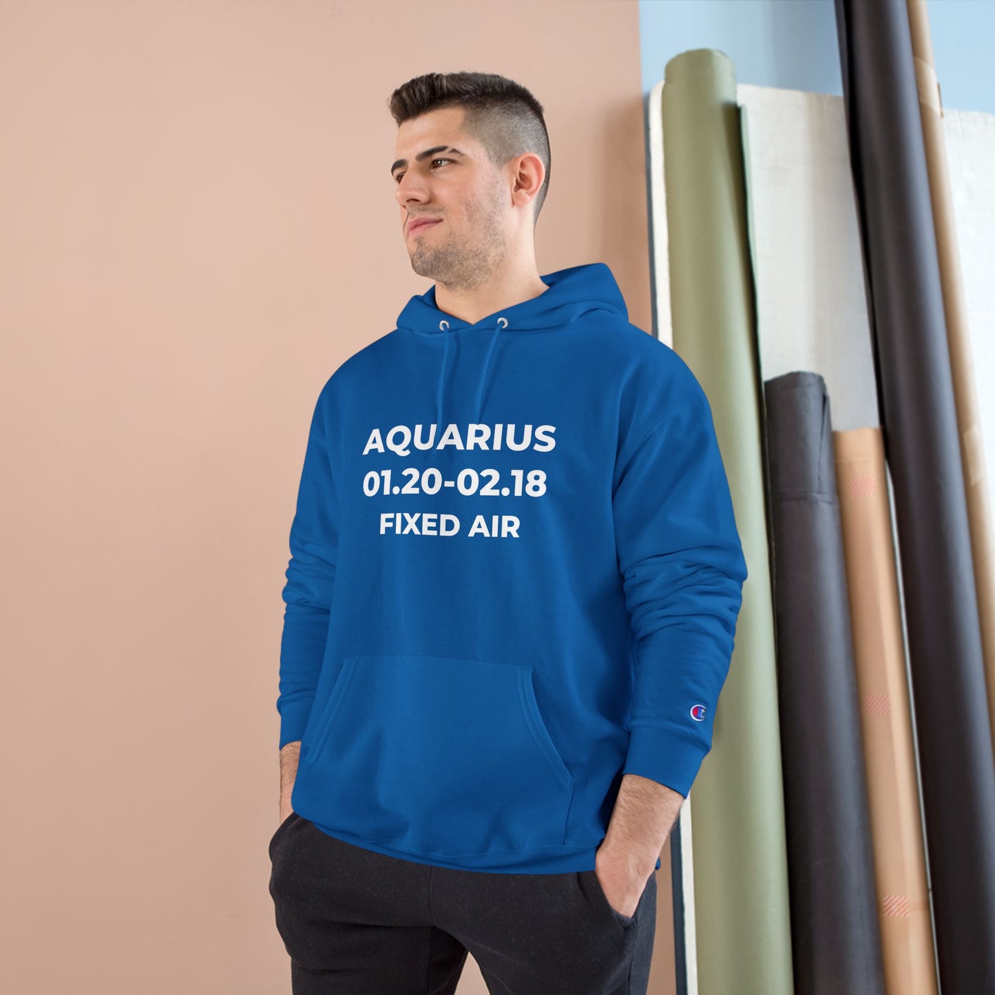 💥 Single-Edition Aquarius Statement Hoodie 💎 Rare & Exclusive 💎