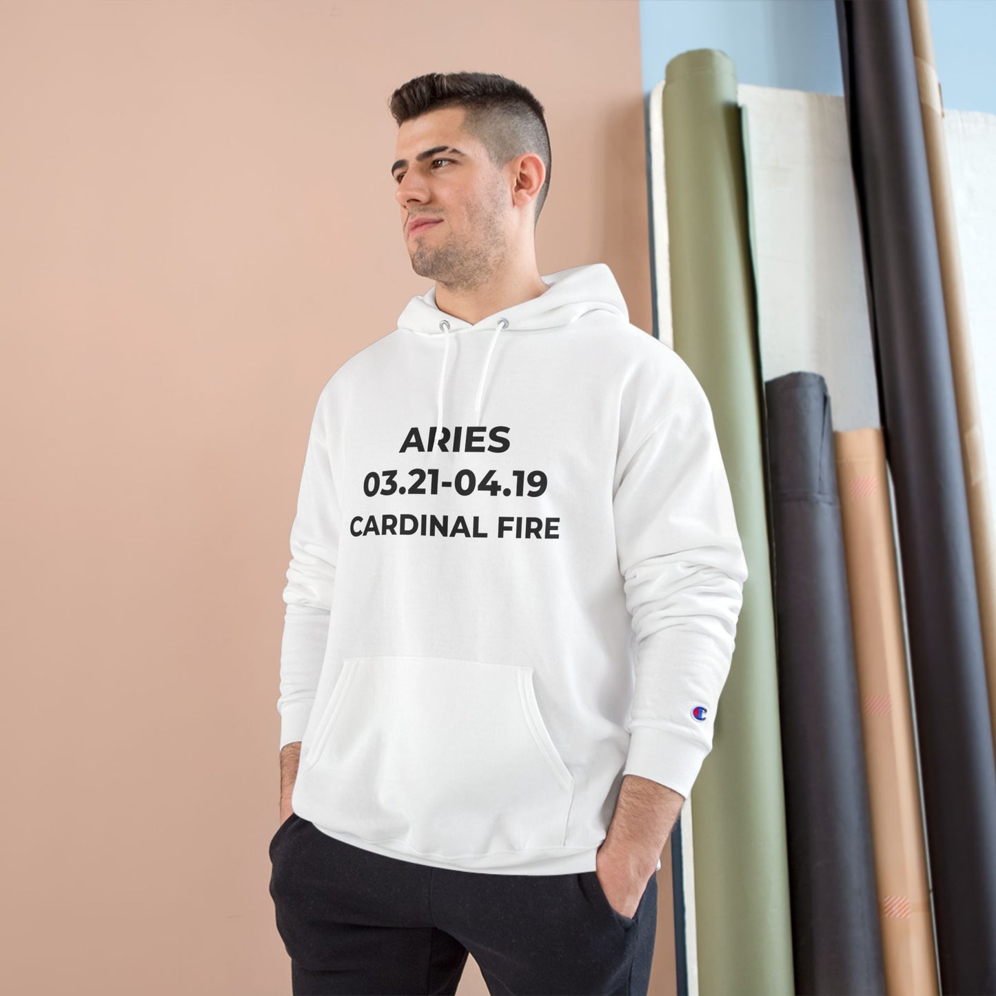💥 Single-Edition Aries Champion Statement Hoodie 💎 Rare & Exclusive 💎