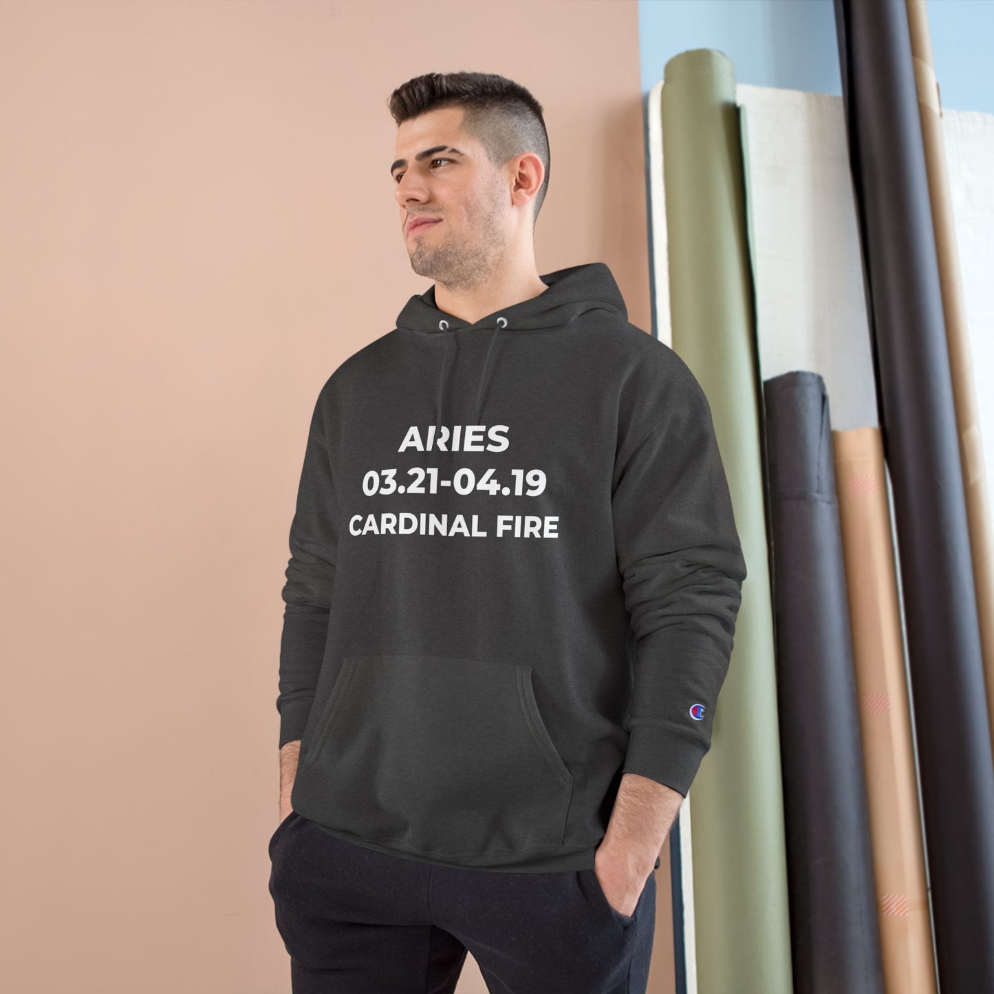 💥 Single-Edition Aries Champion Statement Hoodie 💎 Rare & Exclusive 💎