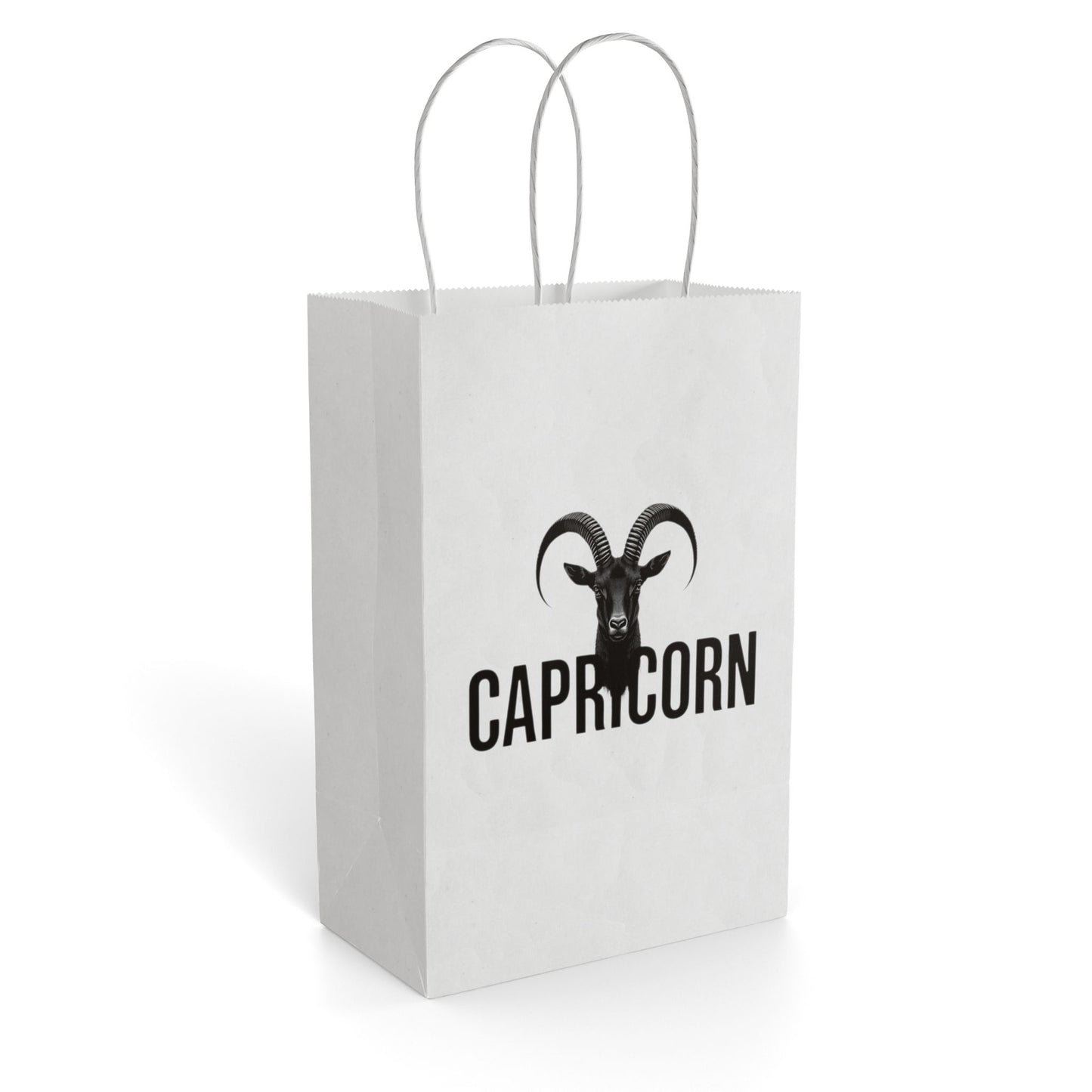 🤍 Capricorn Gift Bag | The Enchanted Wrap™ Collection 🤍