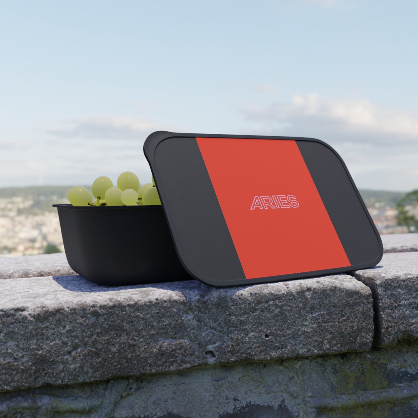 ♈🍱✨ Aries Enchanted Bento Box Set – One-of-a-Kind Kitchen Essential 🔥💫