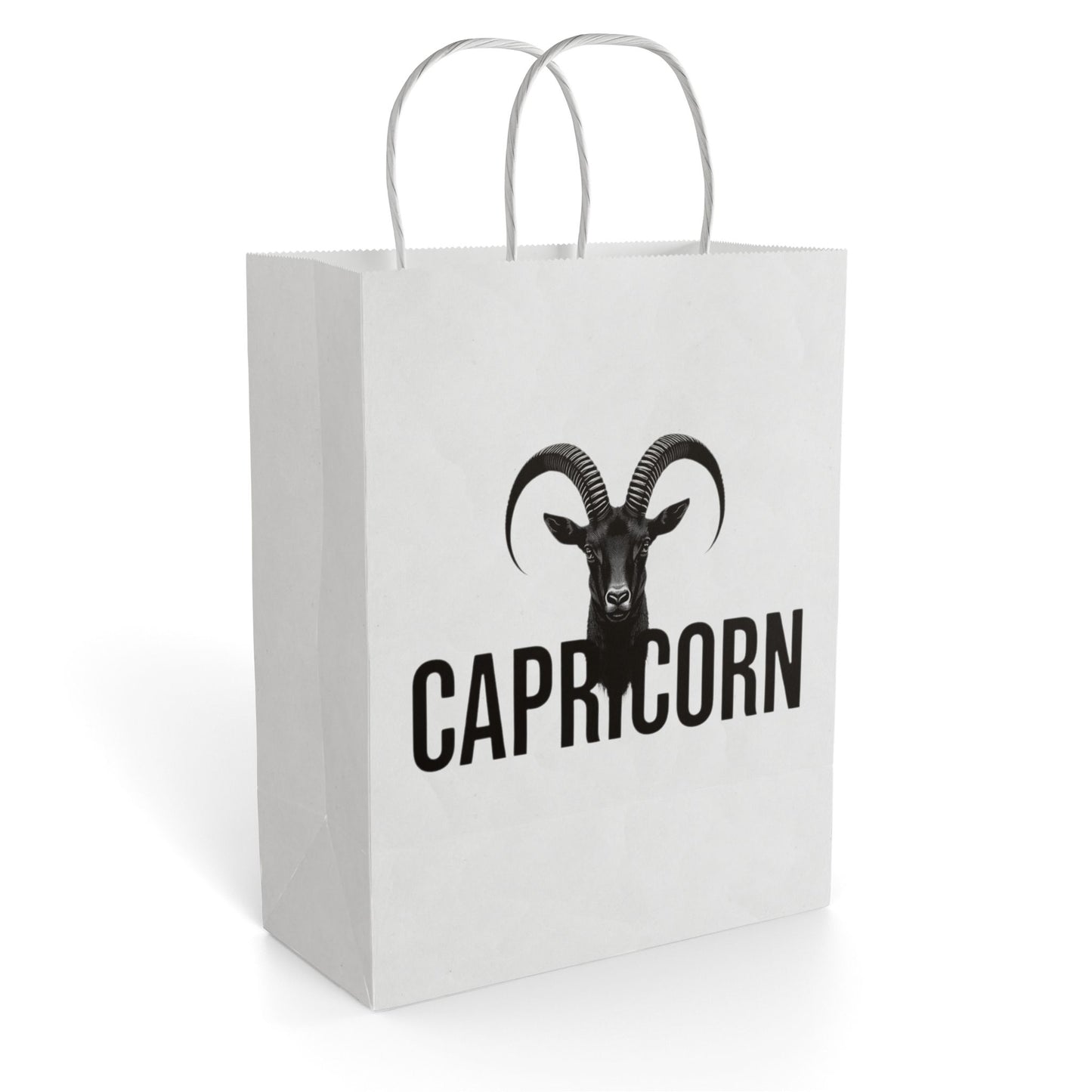 🤍 Capricorn Gift Bag | The Enchanted Wrap™ Collection 🤍