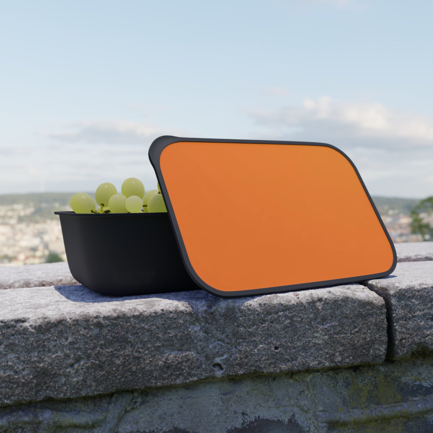🍱✨ Enchanted Bento Box Set – One-of-a-Kind Kitchen Essential 💫