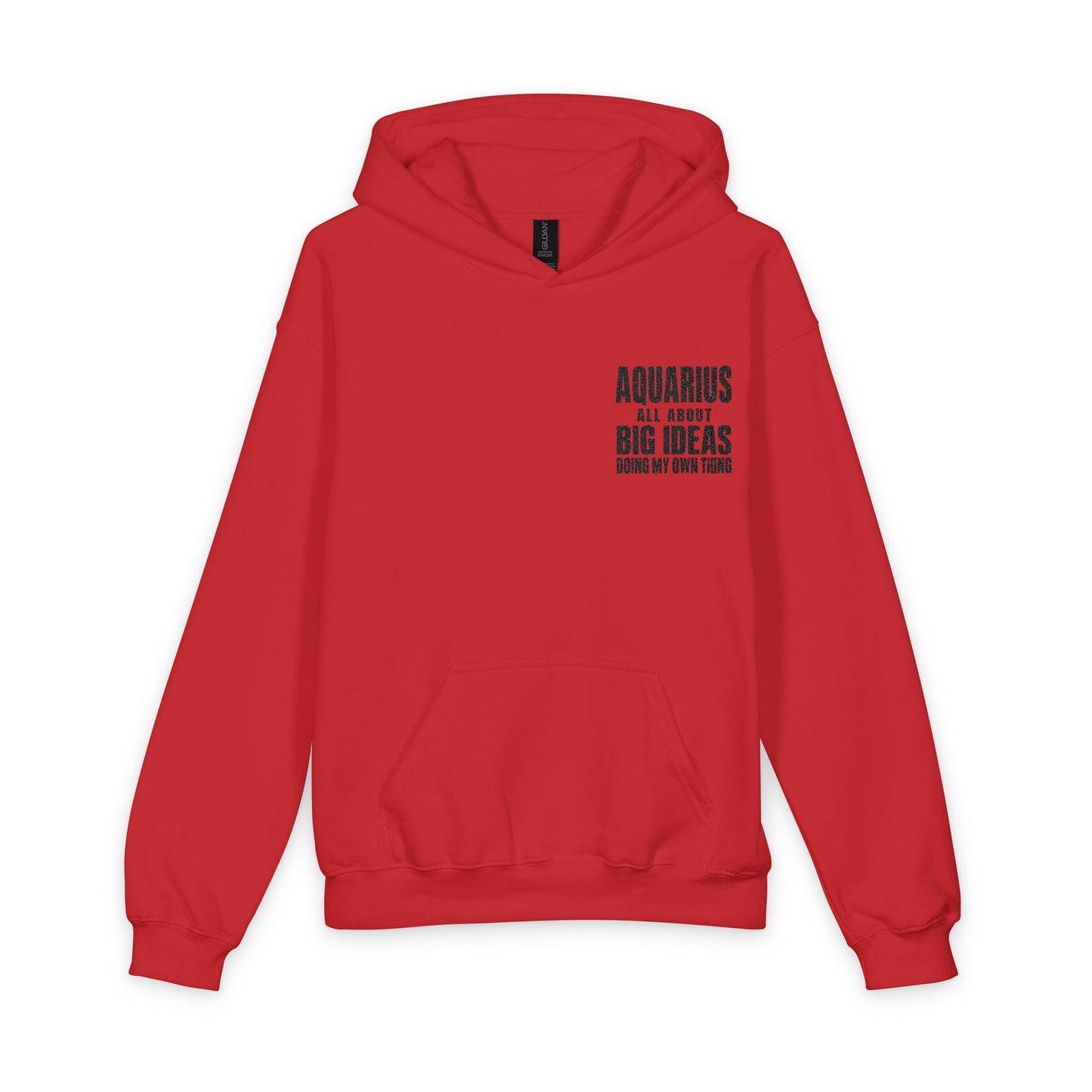 🤍 The Enchanted Statement™ Aquarius Youth Hoodie | The Enchanted Apparel™ Collection 🤍