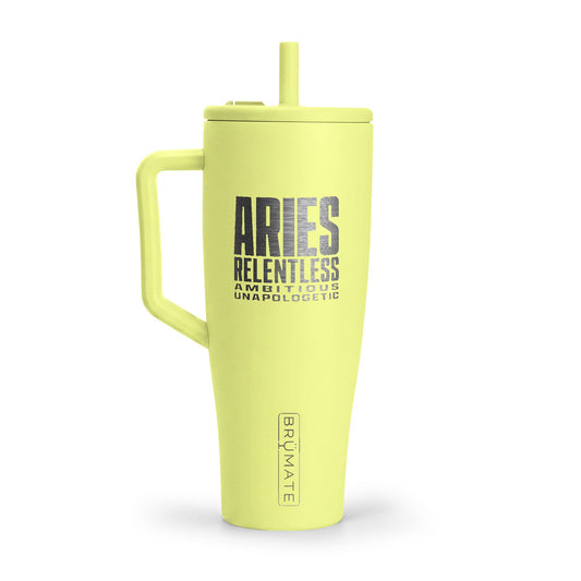 🤍 Aries Identity Tumbler | The Enchanted Sips & Essentials™ Collection 🤍