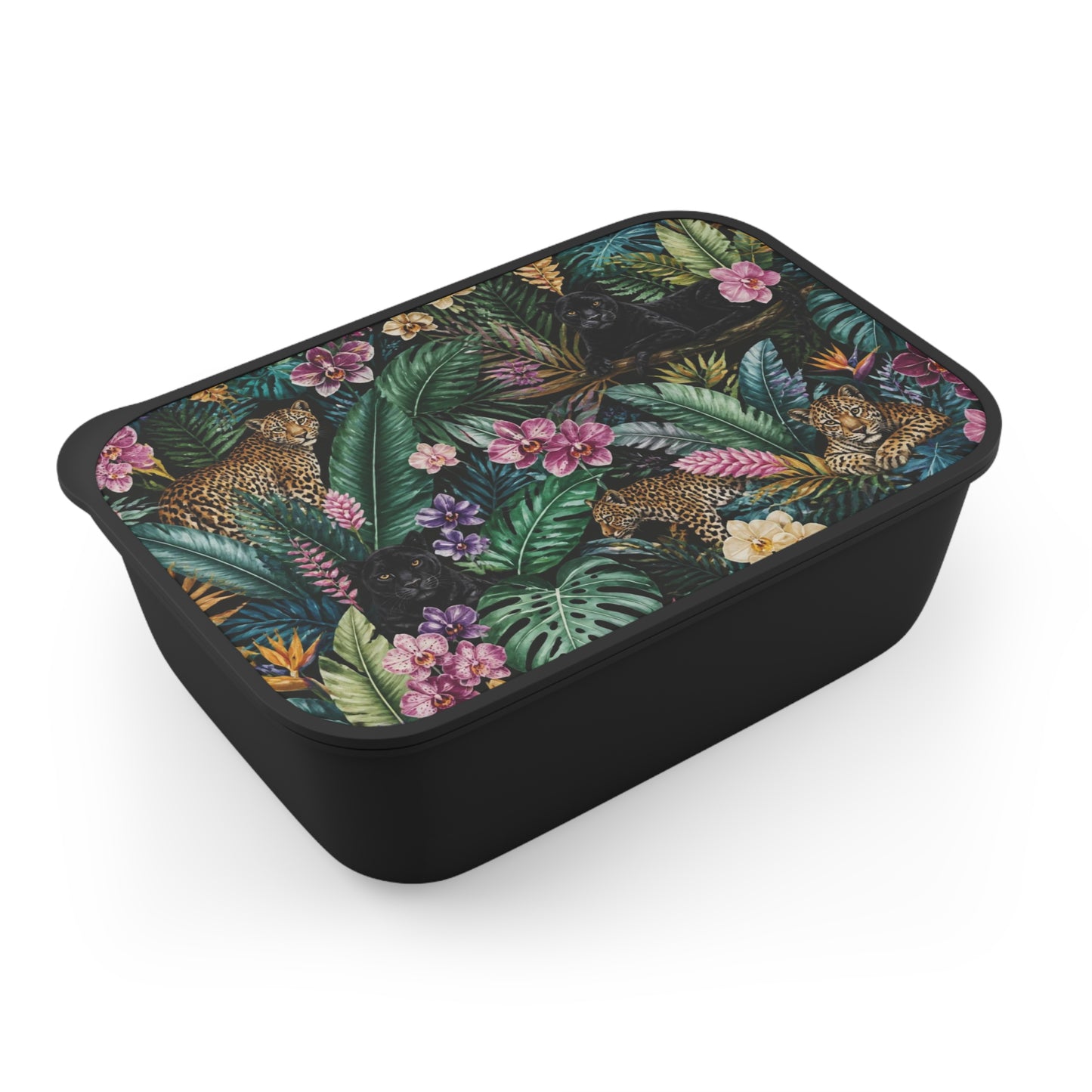 🤍 Enchanted Bento Box Set | The Enchanted Sips & Essentials™ Collection 🤍