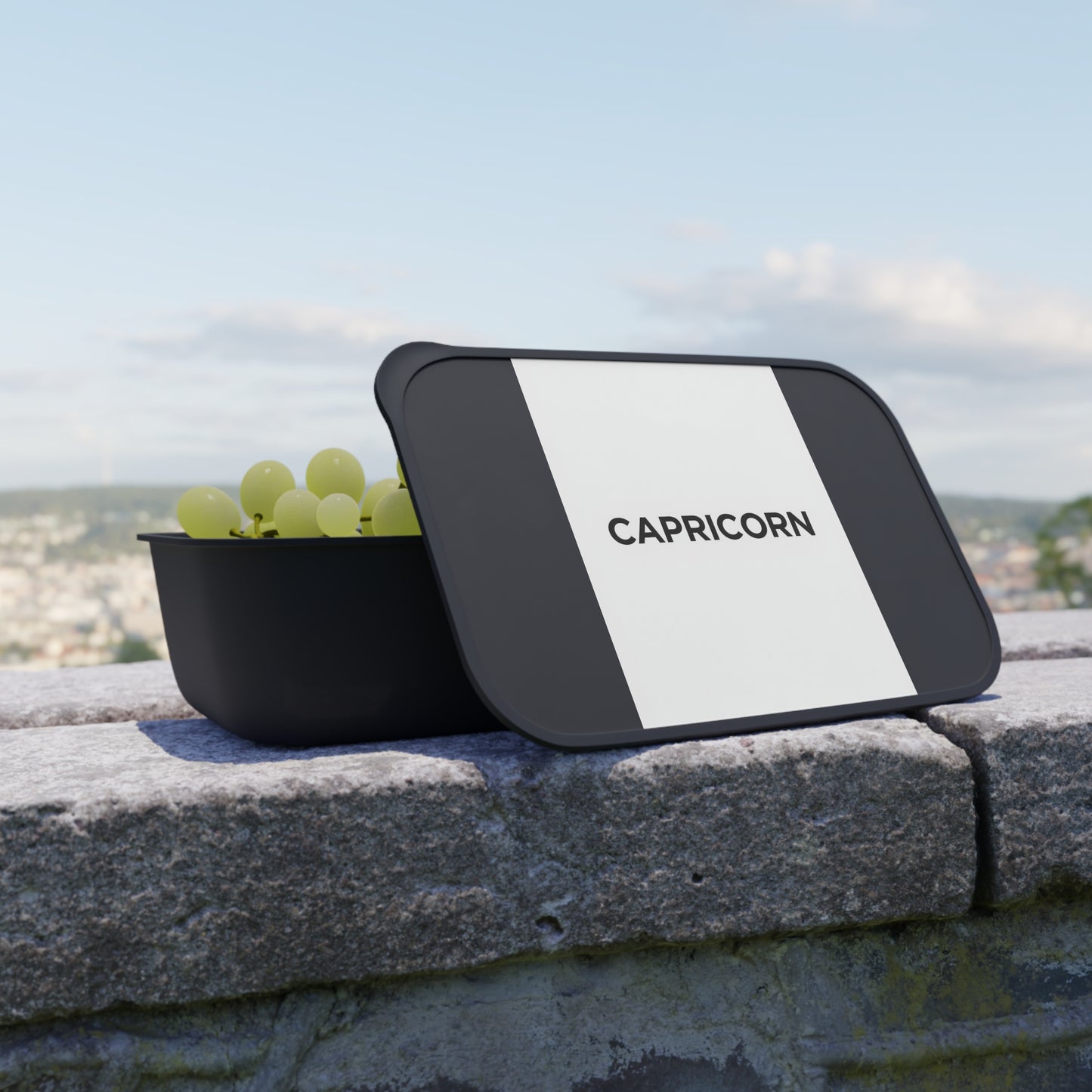 ♑🍱✨ Capricorn Enchanted Bento Box Set – One-of-a-Kind Kitchen Essential 🏔️💫