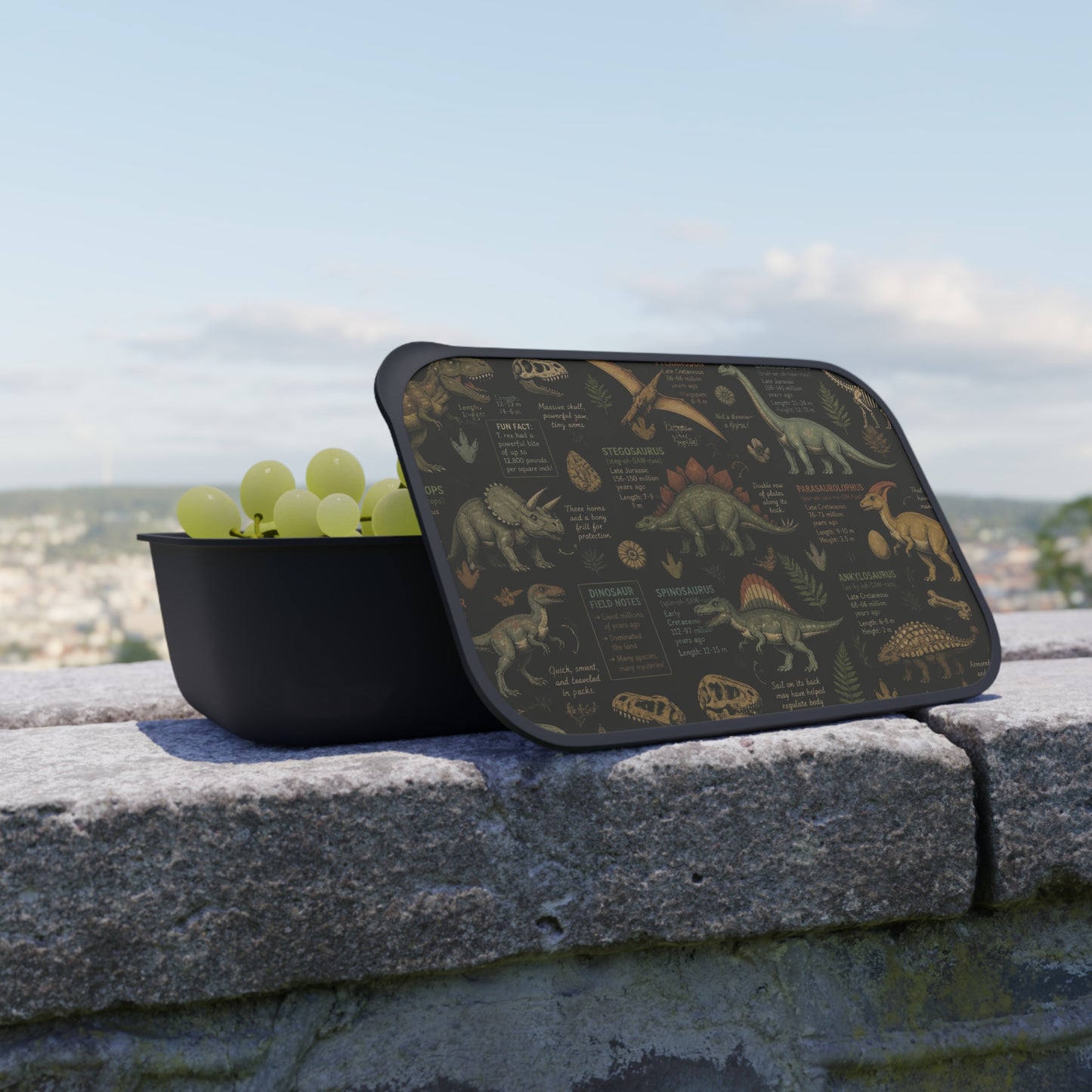 🤍 Enchanted Bento Box Set | The Enchanted Sips & Essentials™ Collection 🤍