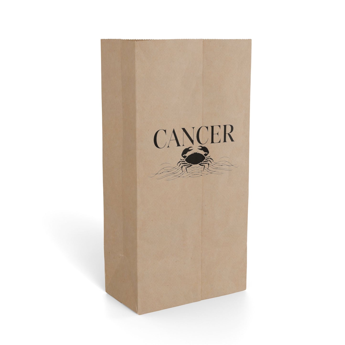♋ The Enchanted Cancer Gift Bag ✨🖤