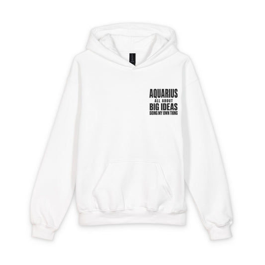 🤍 The Enchanted Statement™ Aquarius Youth Hoodie | The Enchanted Apparel™ Collection 🤍