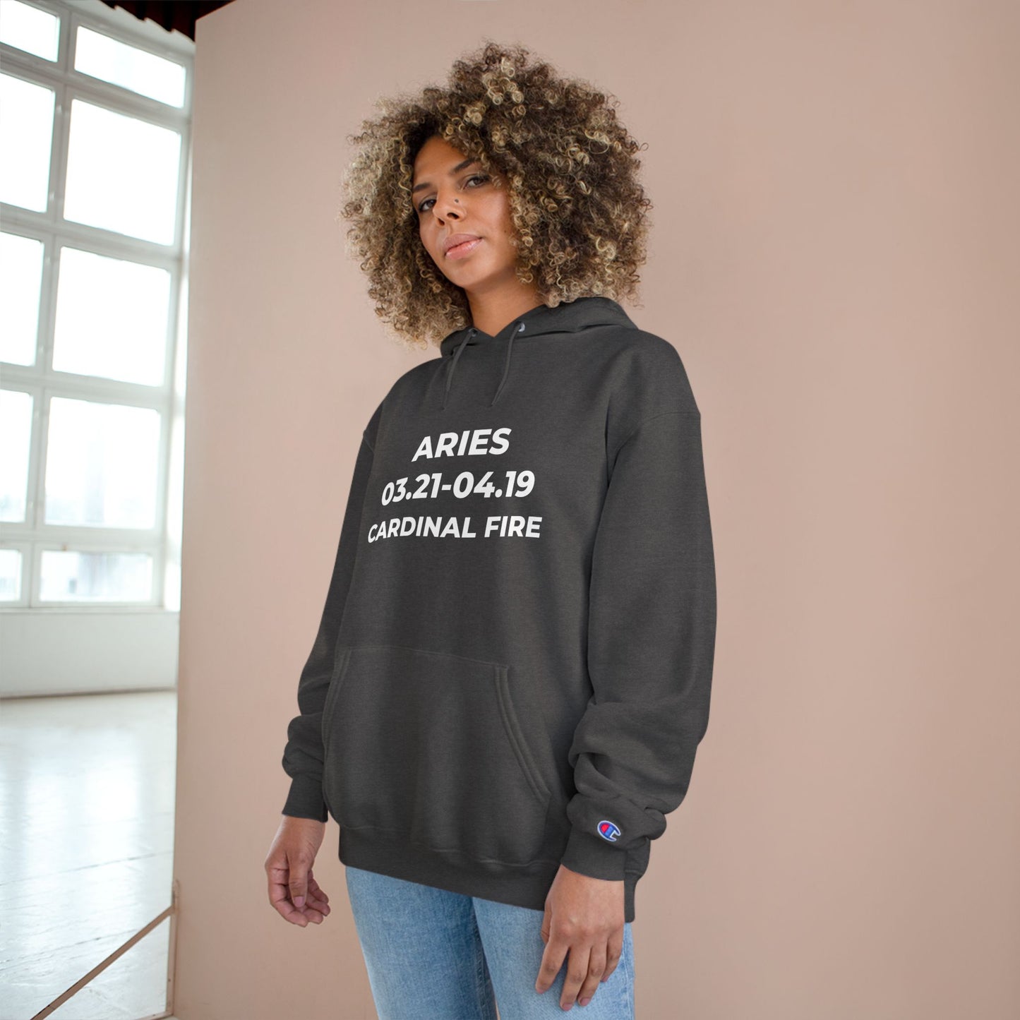 💥 Single-Edition Aries Champion Statement Hoodie 💎 Rare & Exclusive 💎