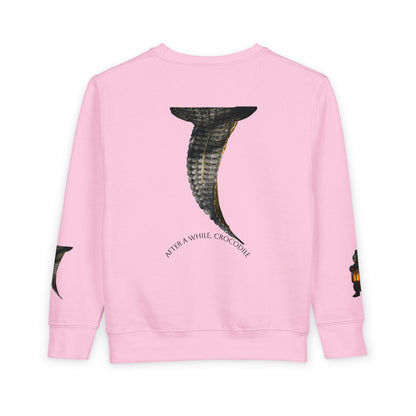 🦄✨ The Enchanted Cozy: One-of-a-Kind Toddler Sweatshirt 🌈🧸