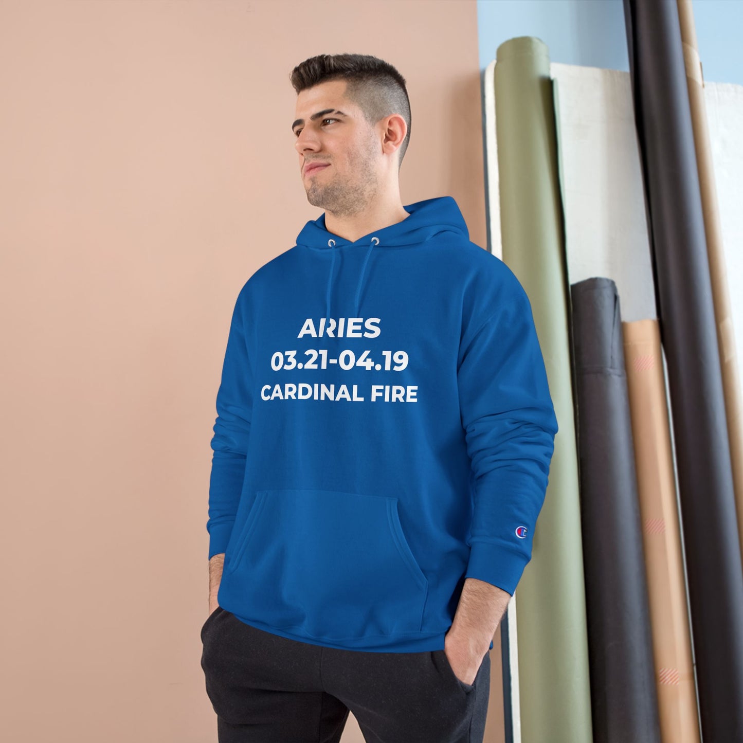 💥 Single-Edition Aries Champion Statement Hoodie 💎 Rare & Exclusive 💎