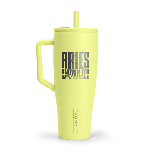 🤍 Aries Identity Tumbler | The Enchanted Sips & Essentials™ Collection 🤍